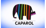 Купить  Caparol / Капарол в Москве по доступным ценам